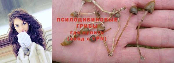 таблы Белокуриха