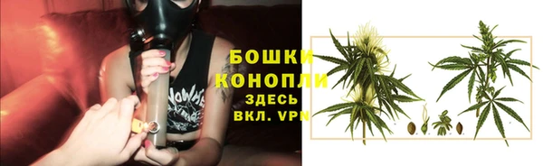 амф Богородицк