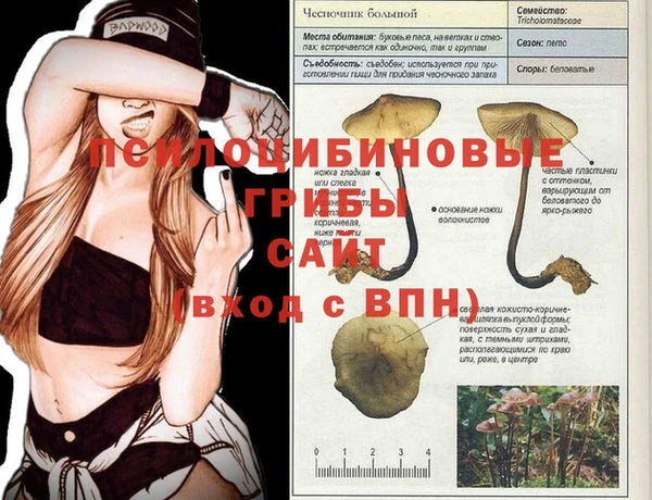 таблы Белокуриха