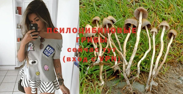МДПВ Белоозёрский