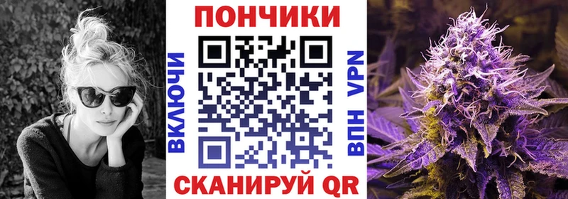 Канабис ГИДРОПОН как найти закладки Бокситогорск
